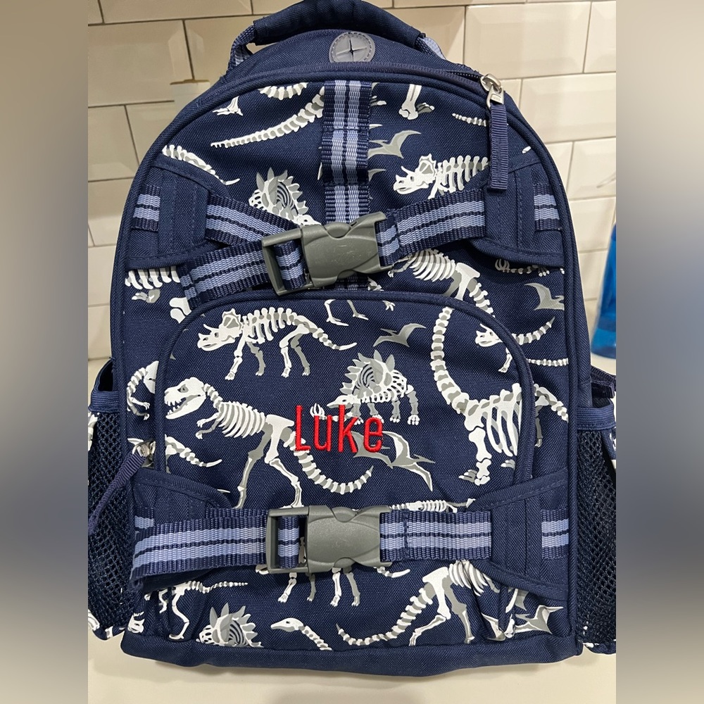Luke pottery barn backpack